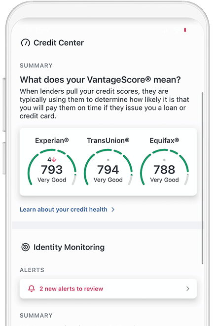 Credit Monitoring and Scoring